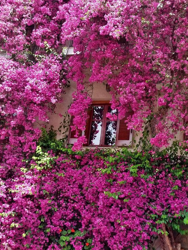 Iliolithos Rooms Kardhamili Exterior foto