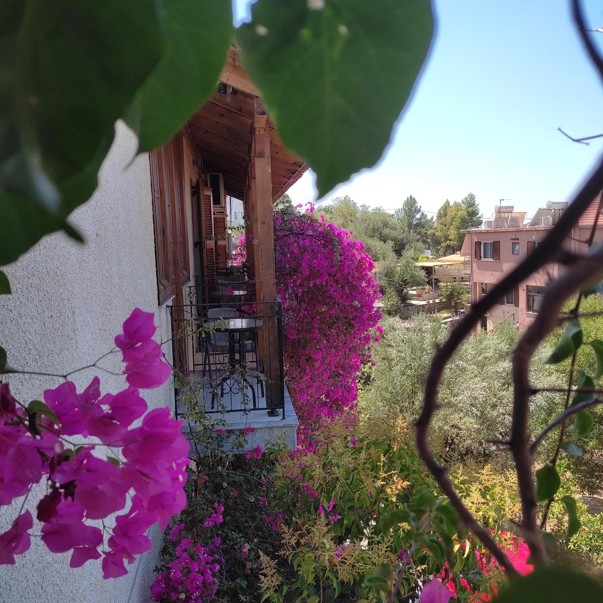 Iliolithos Rooms Kardhamili Exterior foto